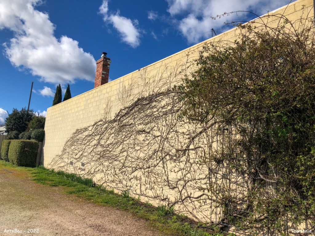 Day 17 : Stanley > Beauty&nbsp;Point