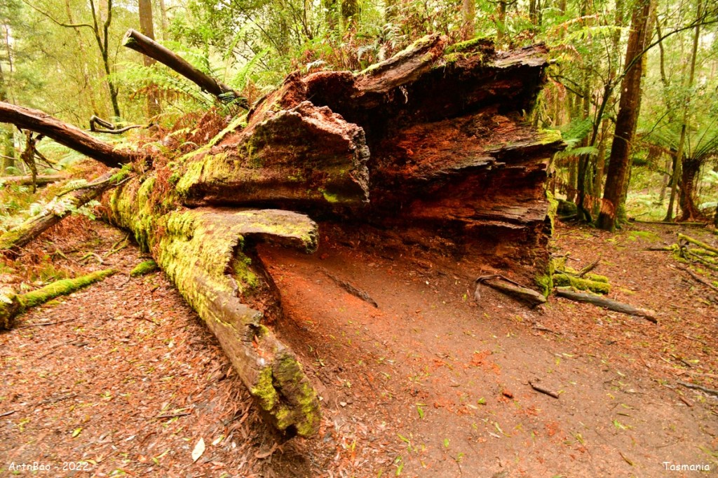 Day 11 : Rathmore >&nbsp;Strathgordon