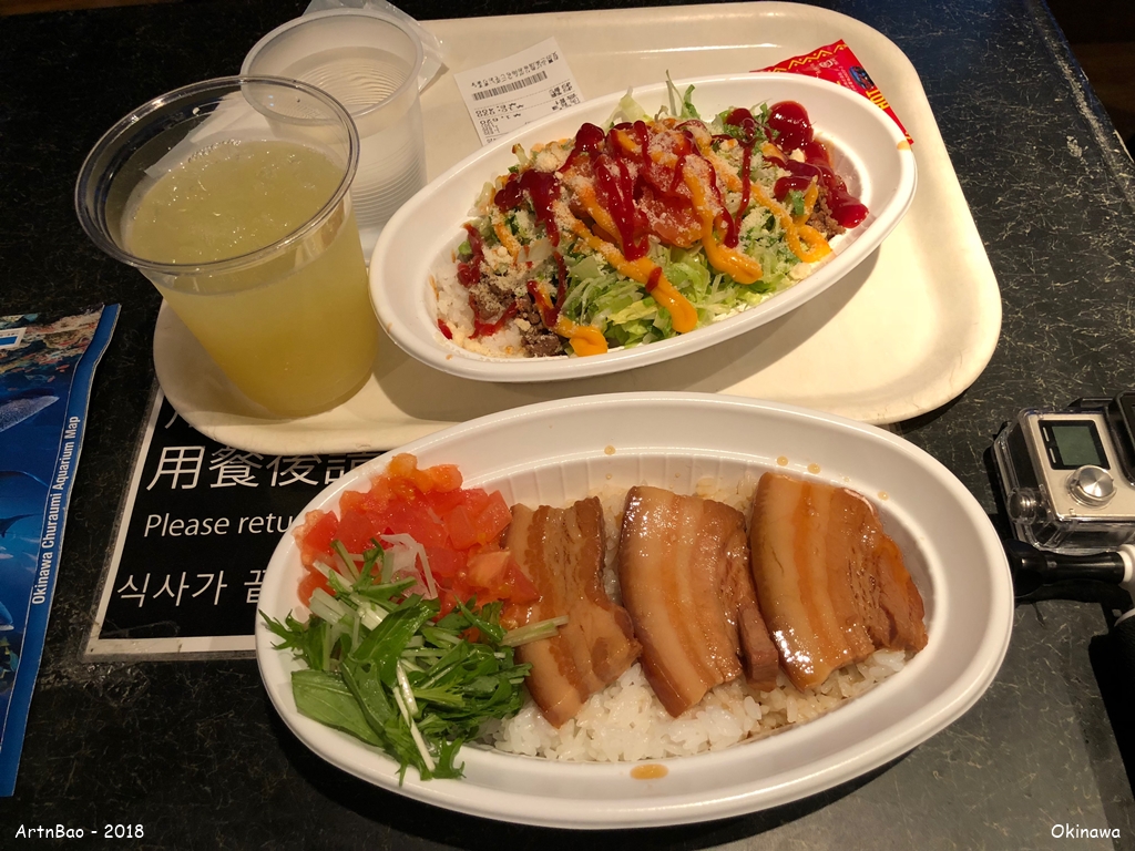 Lunch Churaumi Aquarium