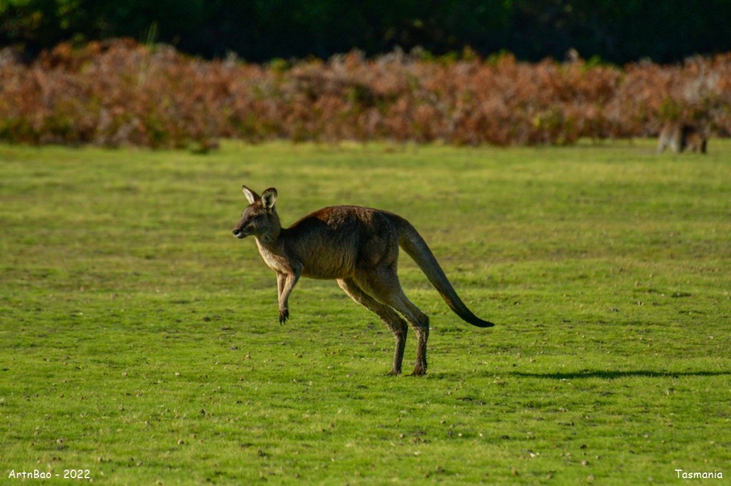 Day 18 : Beauty&nbsp;Point