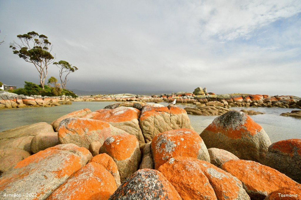 Day 20 : Bicheno & Bay of&nbsp;Fires