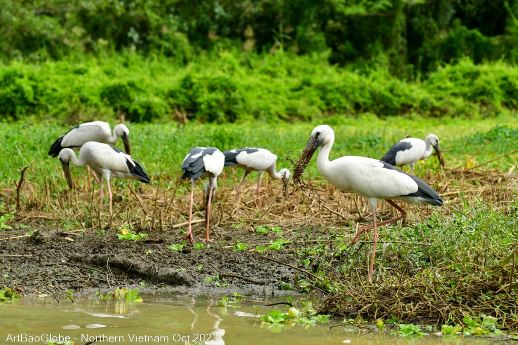 Day 14 : Ninh Binh >&nbsp;Hanoi